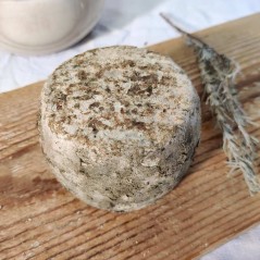 Tomme(tte) de brebis fermière