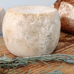 Tomme(tte) de brebis fermière